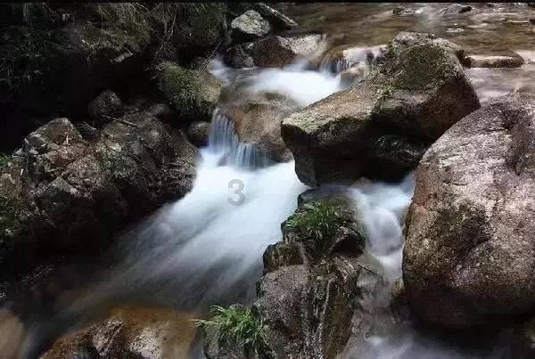 沿河：志愿服务下基层 尽展青春风采